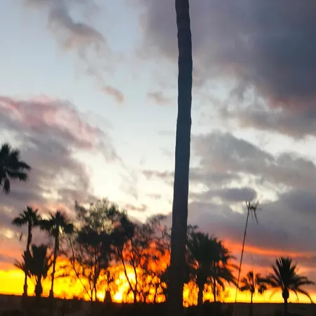 Апартаменты Piscina Club